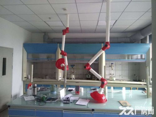 聚焦104板塊 生物醫藥與化工研發新園區——環評無憂，創新驅動未來